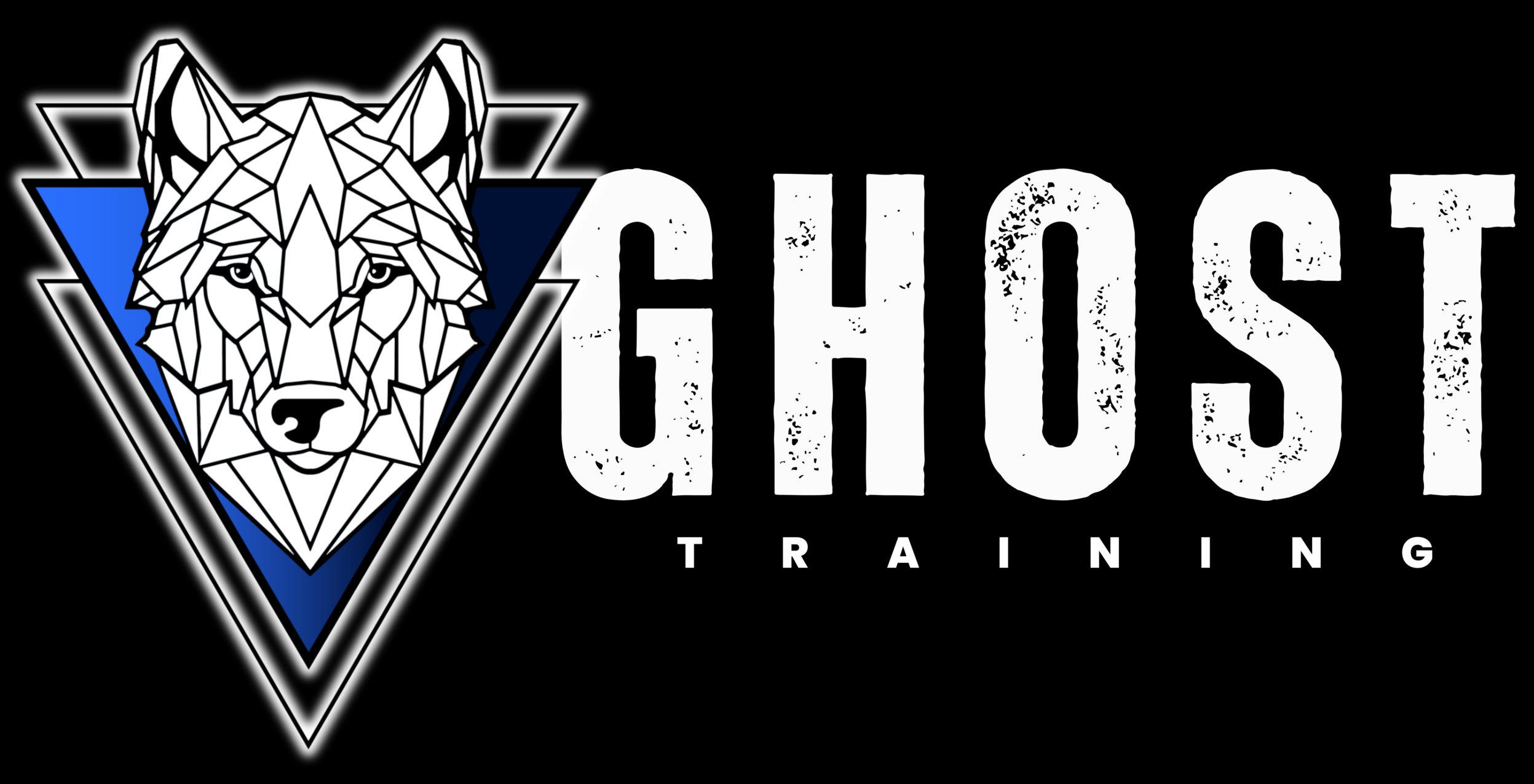 Ghost Training